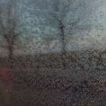 Светлана Махнова