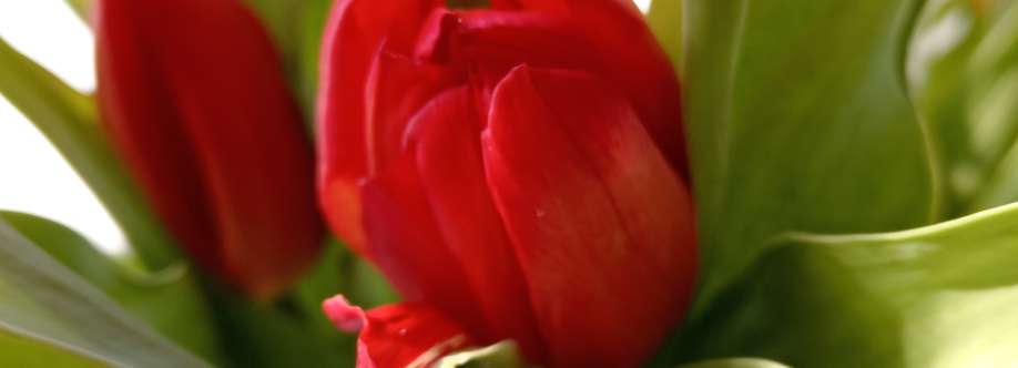 Алла Озерян