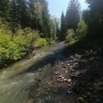 Роман Сазонов