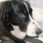 Лена Иванцова