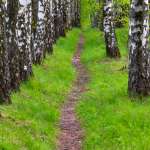 Там где кончается цивилизация