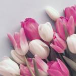 Анастасия Королева