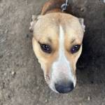 Вахно Татьяна