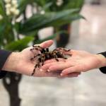 Илья Костюченко