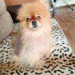 Олег Летяев