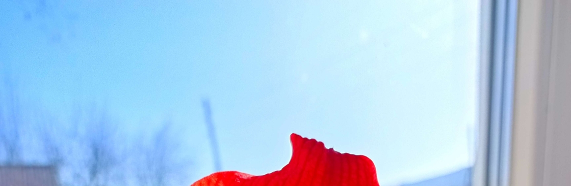 Ксения Якушевa