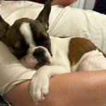 Марина Зайцева