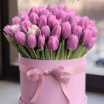 Сапко Оксана