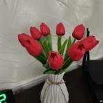 Viktoriya —————