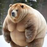 Михаил Горчаков