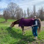 Диана Краевая