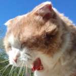 Ольга Скочкова