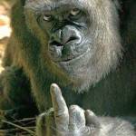 Александр Попов