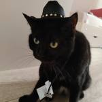 Нина Клеянкина