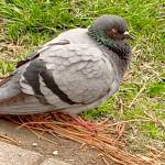 Наталья Филатова